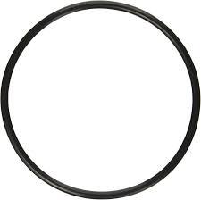 PENTAIR ORING POUR CRISTAL FLO 272541 - Piscines Geyser