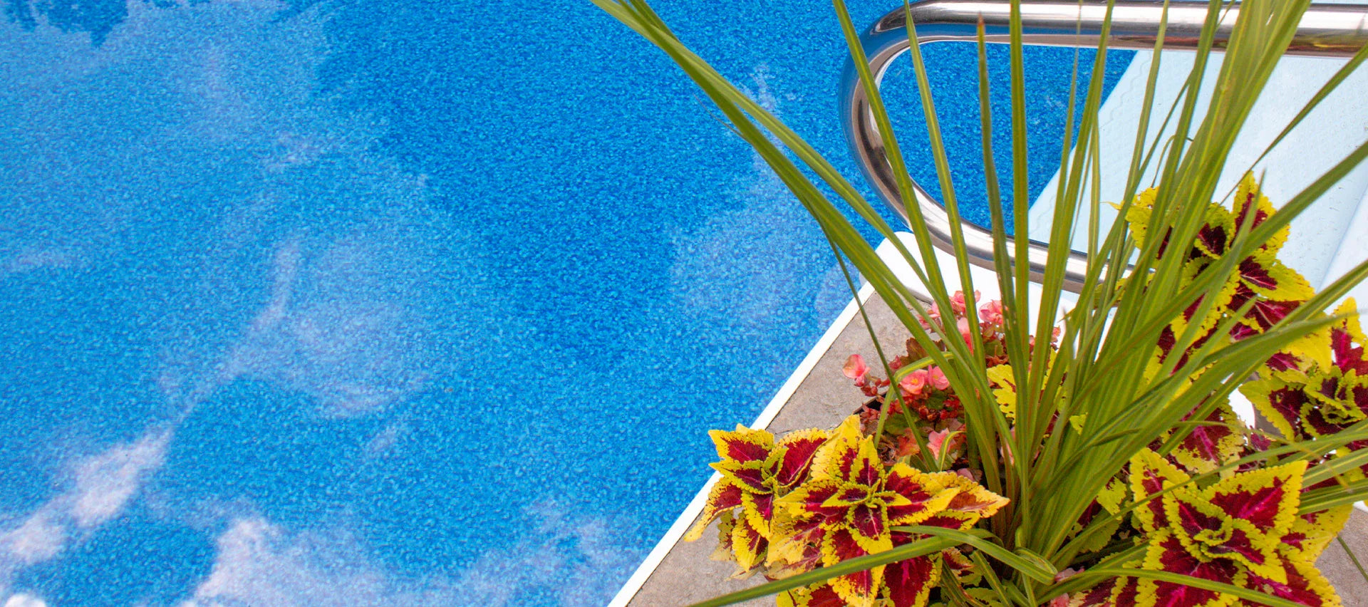 Piscine extérieure avec eau bleue, margelle, main courante inox et plantes colorées