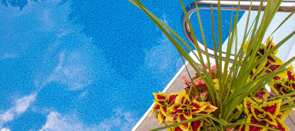 Piscine extérieure avec eau bleue, margelle, main courante inox et plantes colorées