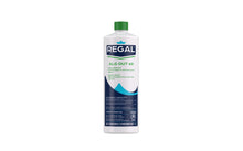 Regal Alg Out 60, algicide concentré 60 % non moussant pour piscine