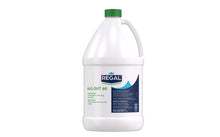 Regal Alg Out 60 – Algicide concentré 60 %, non moussant, compatible sel (1 L / 4 L)