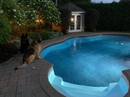 Toile de piscine creusé Zirconia