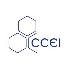 Logo CCEI avec motifs hexagonaux, équipement de piscine, fond blanc