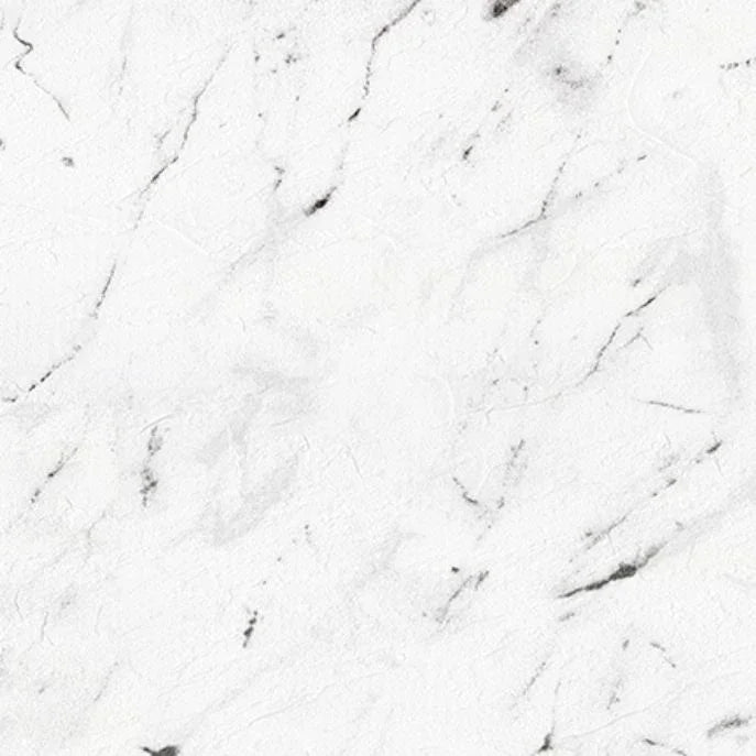 Surface en marbre blanc avec veines grises, idéale pour margelles de piscine moderne.