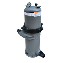 Filtre à cartouche gris pour piscine avec manomètre, équipement d'entretien de piscine